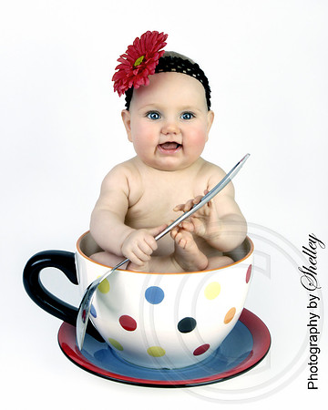 Pudge in a Cup