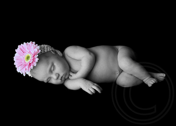 Newborn