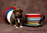 Copper
