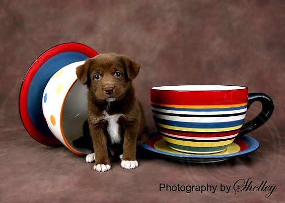 Copper
