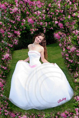 Apple Blossoms & Lauren