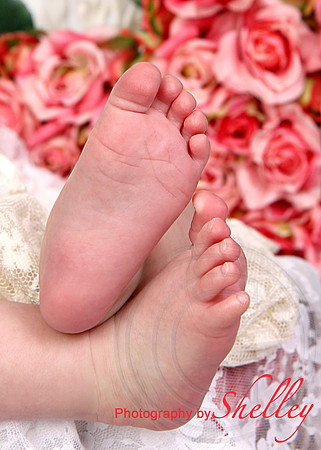 Roses & Toses