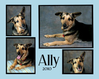 Ali