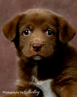 Copper